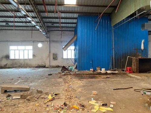深圳无证废品加工厂被清空,最高将被罚80万元 南都